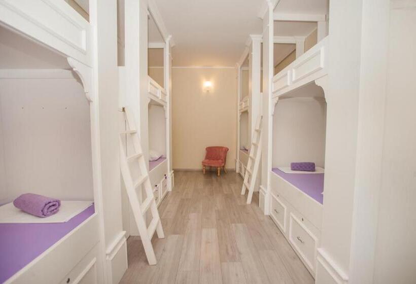 تختخواب در اتاق مشترک, Hostel Splendido