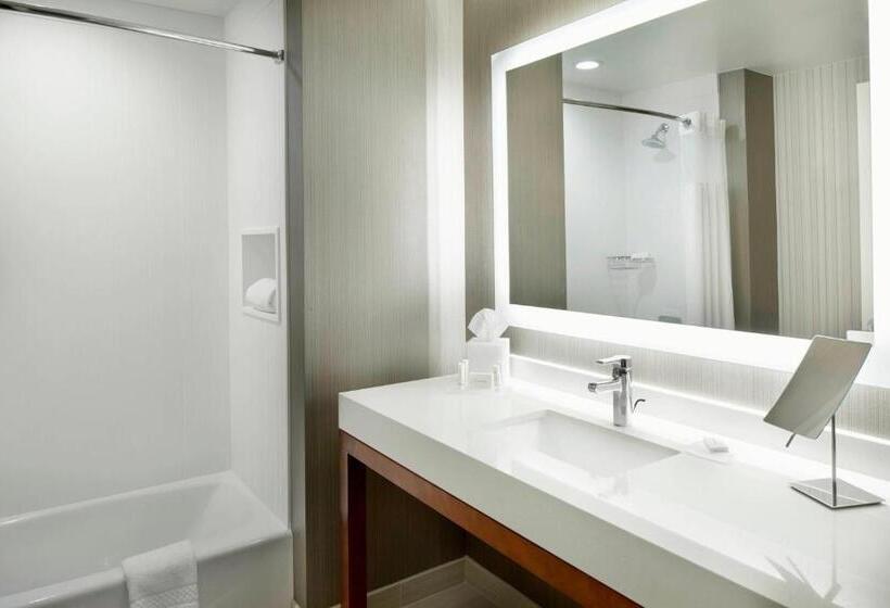اتاق لوکس, Courtyard By Marriott Houston Intercontinental Airport