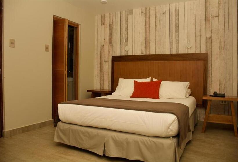 اتاق سوپریور یک تخته, La Casa De Don Tomás