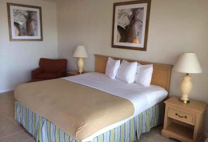 اتاق استاندارد با تخت بزرگ, Lakeview Motel
