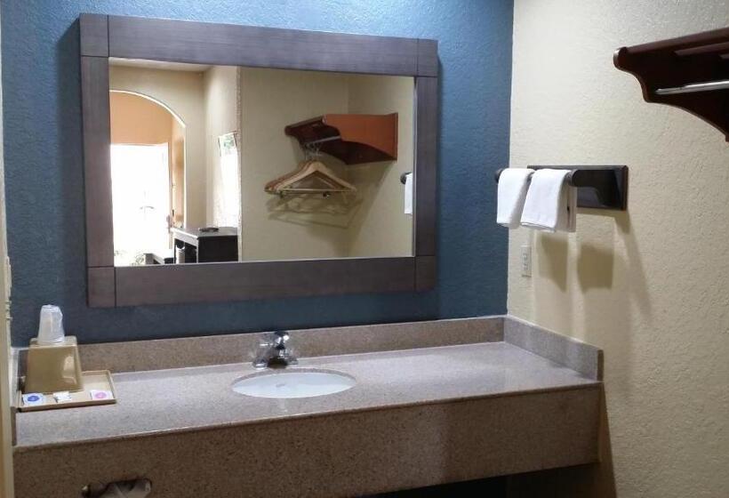 اتاق استاندارد با تخت بزرگ, Americas Best Value Inn & Suites Houston Ne