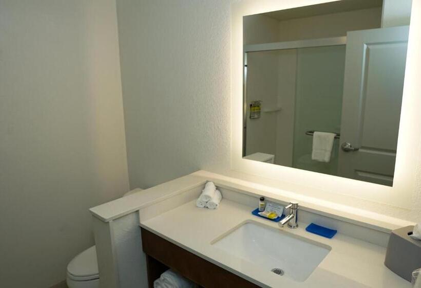 اتاق استاندارد, Holiday Inn Express & Suites   Aurora Medical Campus, An Ihg