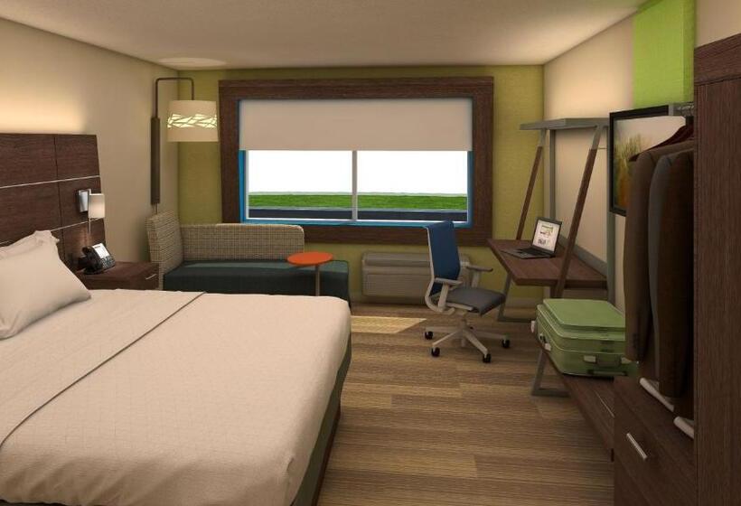 اتاق استاندارد با تخت بزرگ برای معلولان, Holiday Inn Express And Suites Denver  Aurora Medical Campus