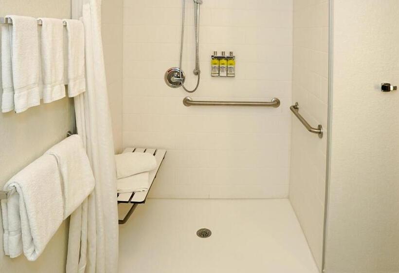 اتاق استاندارد با تخت بزرگ برای معلولان, Holiday Inn Express & Suites   Aurora Medical Campus, An Ihg