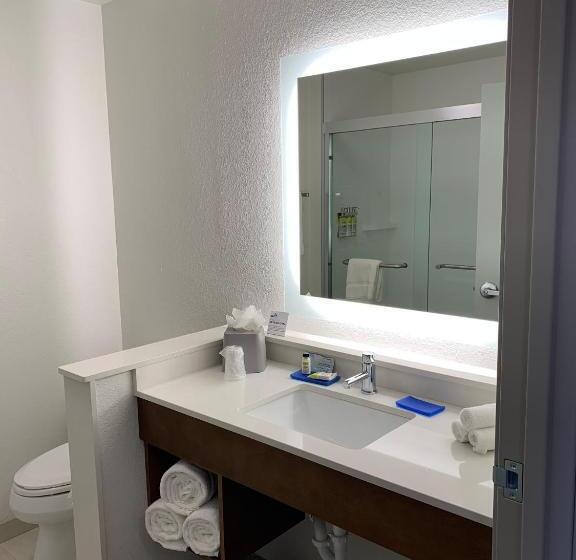 اتاق استاندارد برای معلولان, Holiday Inn Express & Suites   Aurora Medical Campus, An Ihg