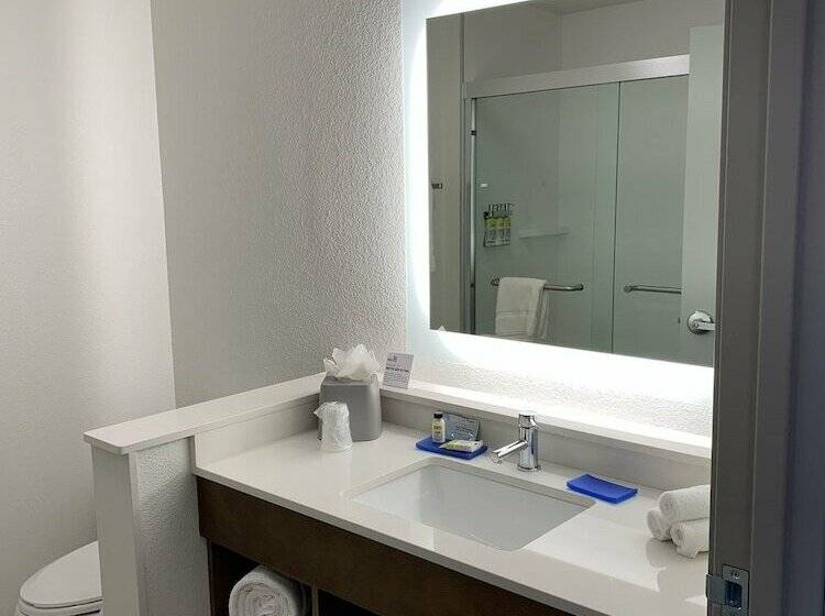 اتاق استاندارد, Holiday Inn Express & Suites   Aurora Medical Campus, An Ihg