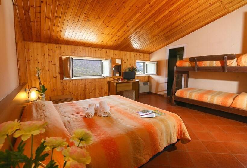 اتاق استاندارد چهار تخته, Holidays