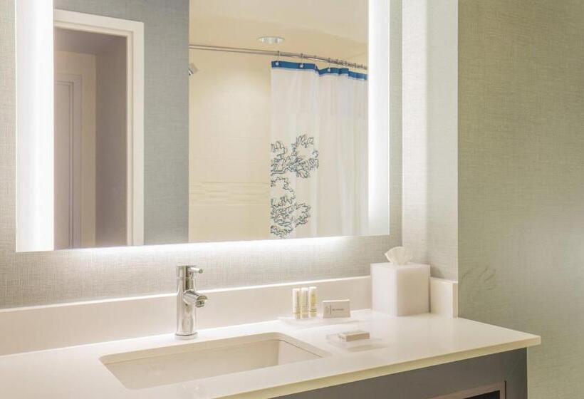 Studio Standard, Residence Inn By Marriott Boston Braintree