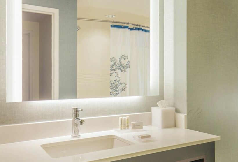 Studio Standard, Residence Inn By Marriott Boston Braintree