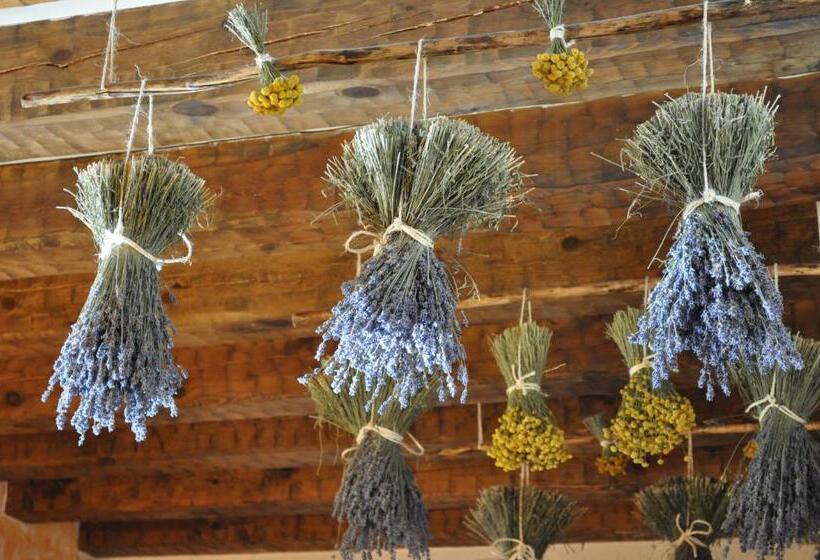 اتاق استاندارد, Rural Y Spa La Senda De Los Caracoles