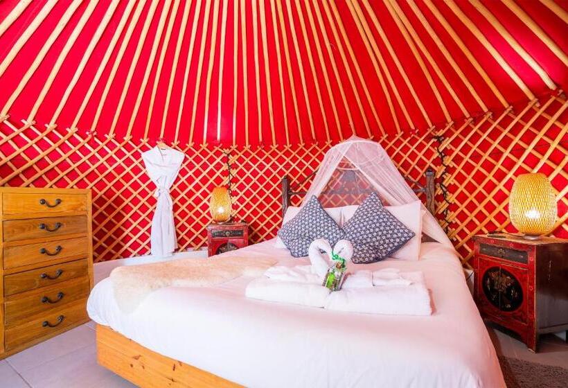 اتاق اکونومی, Eco Village Finca De Arrieta   Yurts And Stone Cottages   Shared Pool   Walking Distance To Arrieta