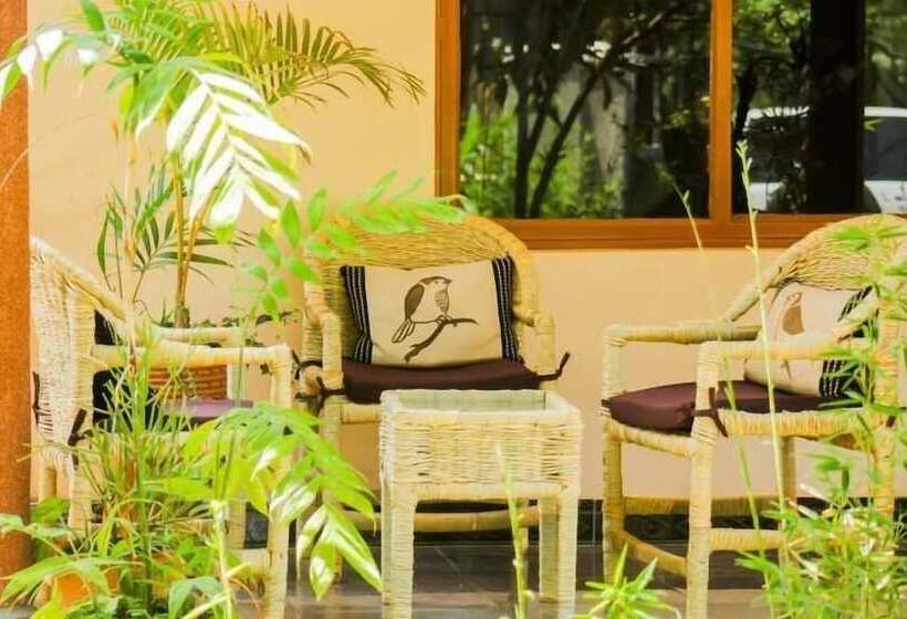 اتاق استاندارد, Alpha Country Motel