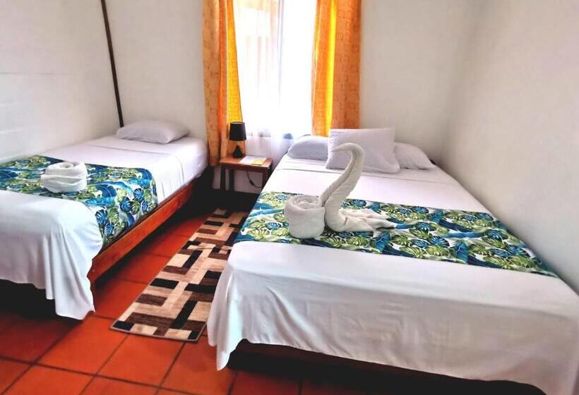 اتاق اکونومی, Casa Marbella