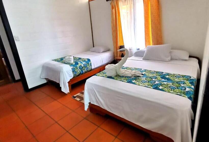 اتاق اکونومی, Casa Marbella