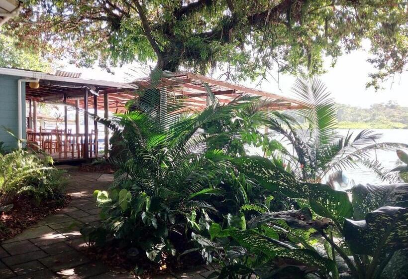 اتاق خانوادگی, Casa Marbella