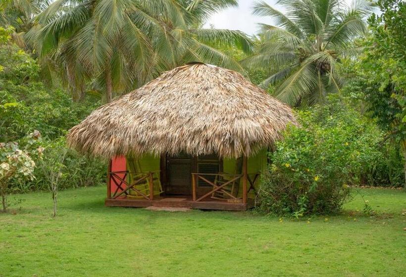 اتاق استاندارد, Aventura Rincon Ecolodge