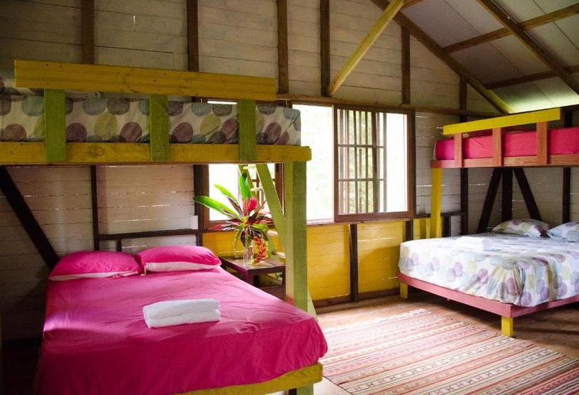 اتاق خانوادگی با چشم‌انداز باغ, Aventura Rincon Ecolodge