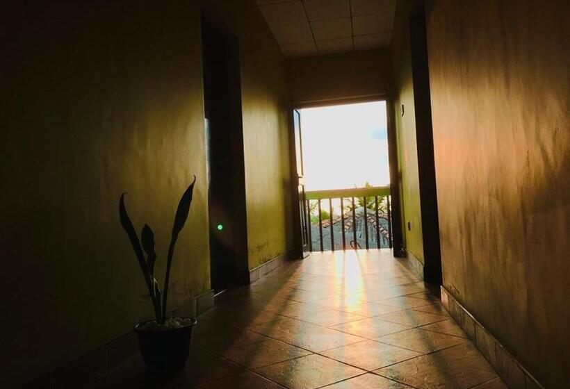 اتاق لوکس, Guesthouse Panorama