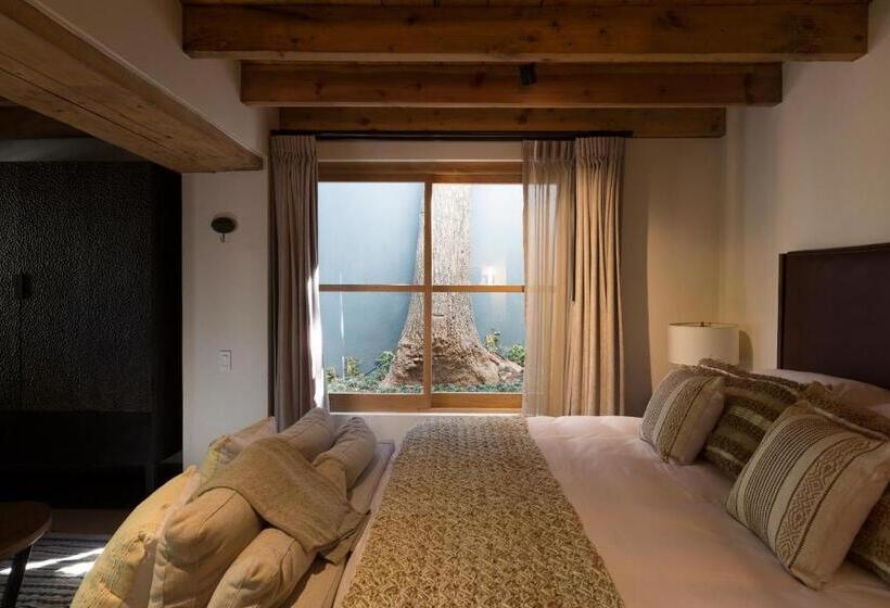 سوییت, La Casa Rodavento