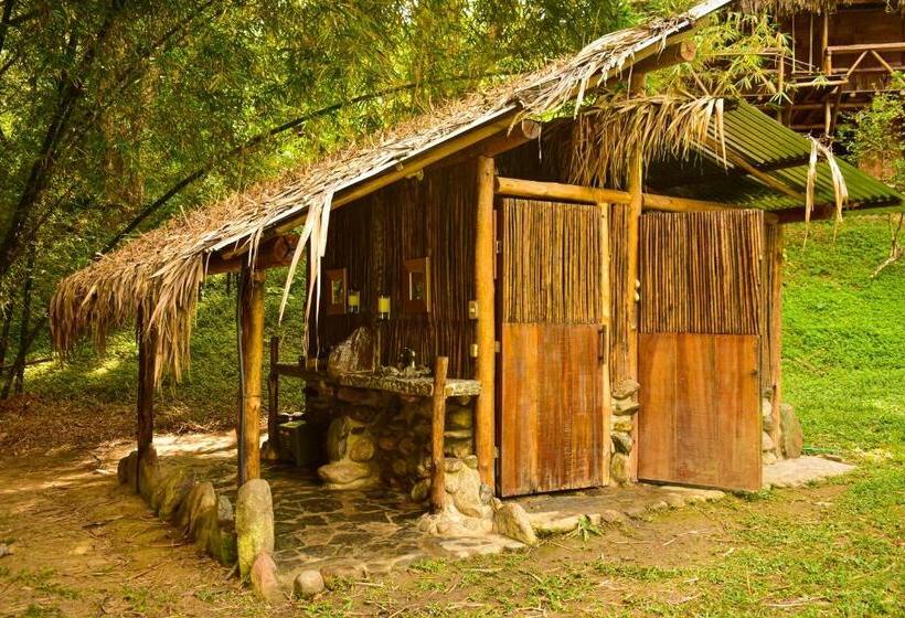 اتاق استاندارد یک نفره, Río Elemento