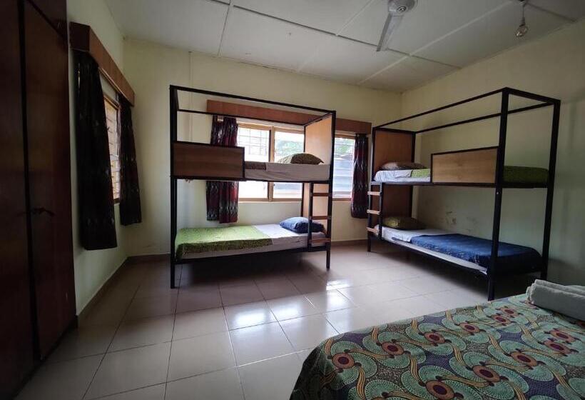 اتاق خانوادگی, Tumi Hostel
