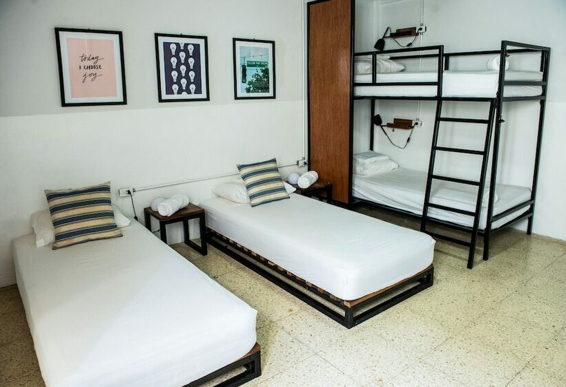 تختخواب در اتاق مشترک, Socialtel Granada   Formerly Selina Granada