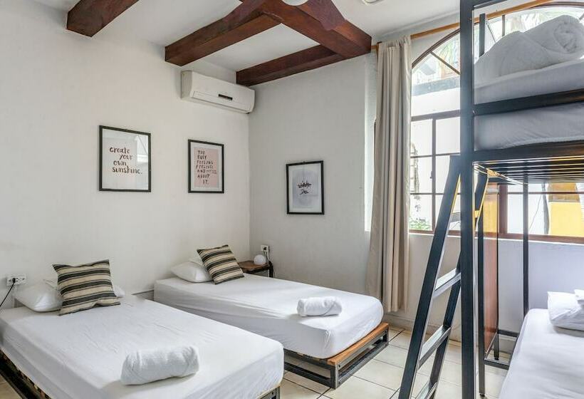 تختخواب در اتاق مشترک, Socialtel Granada   Formerly Selina Granada