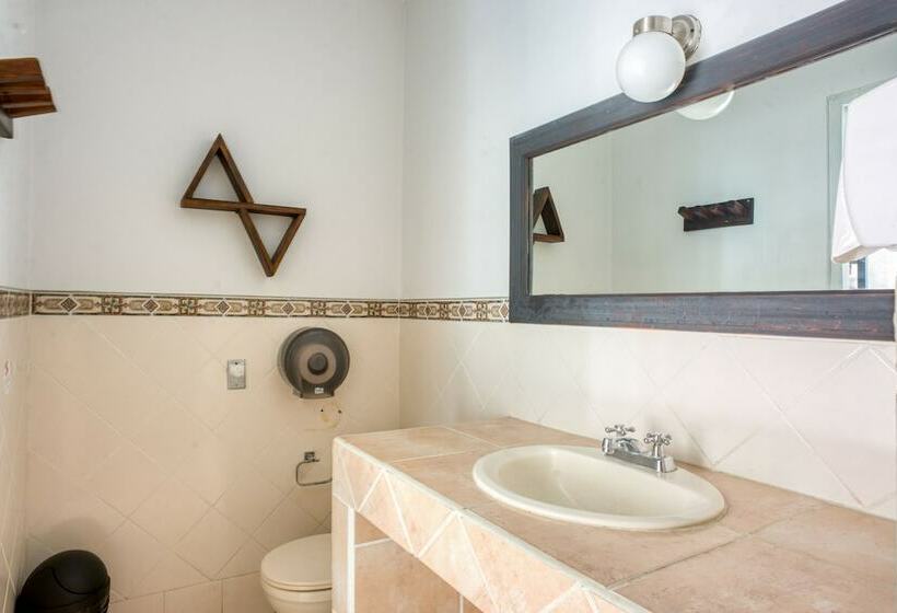 تختخواب در اتاق مشترک, Socialtel Granada   Formerly Selina Granada