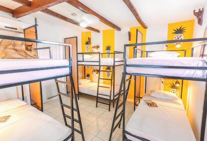 تختخواب در اتاق مشترک, Socialtel Granada   Formerly Selina Granada