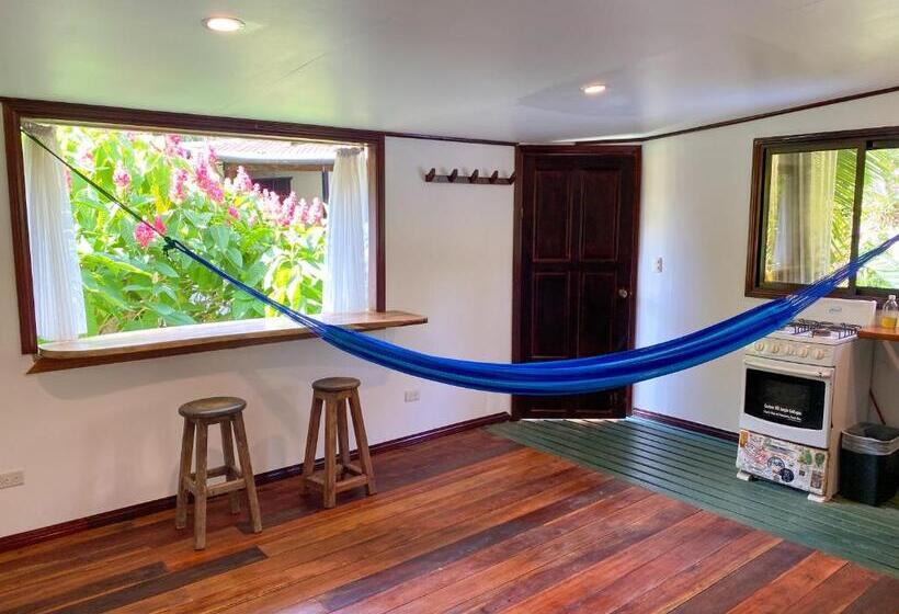 آپارتمان 1 خوابه با چشم‌انداز باغ, La Ruka Hostel