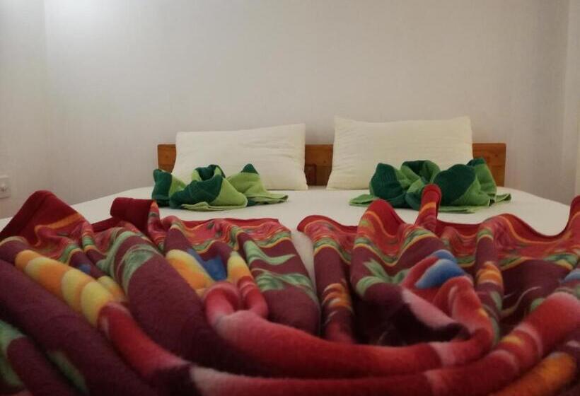 اتاق لوکس خانوادگی, Ella Sunrise