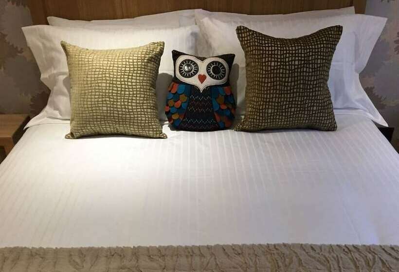 اتاق استاندارد, 8 Owls B&b