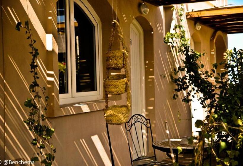 اتاق استاندارد, Aftas Trip