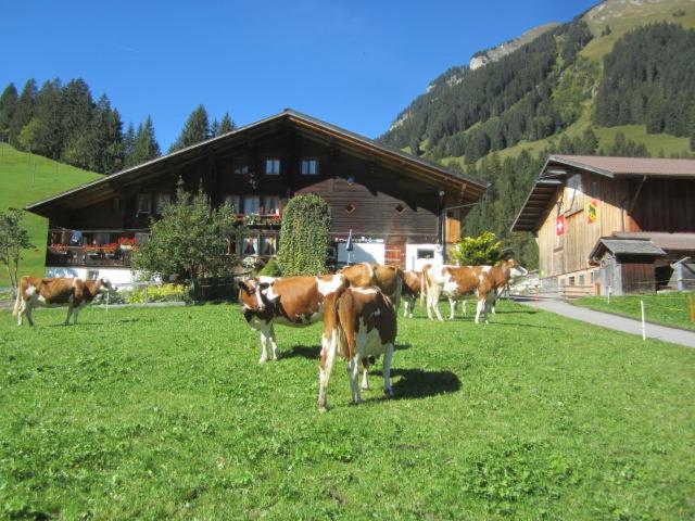 اتاق استاندارد, Gässlihof