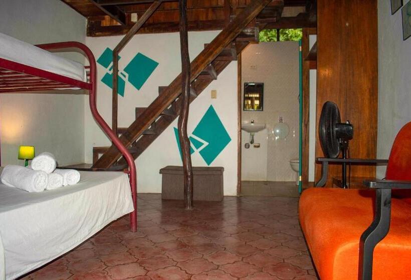 اتاق خانوادگی با چشم‌انداز دریا, Hostel Plinio