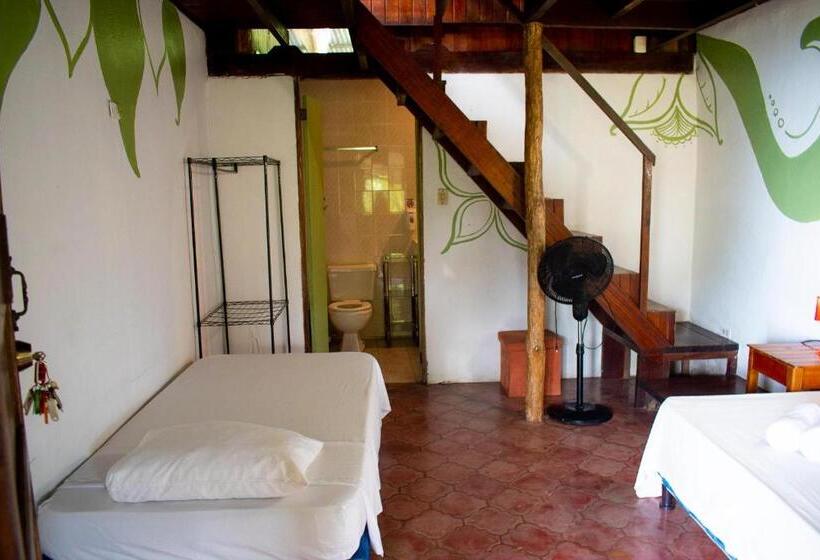 اتاق خانوادگی با چشم‌انداز دریا, Hostel Plinio