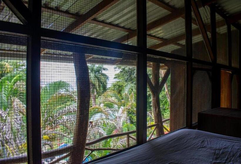 تختخواب در اتاق مشترک, Hostel Plinio