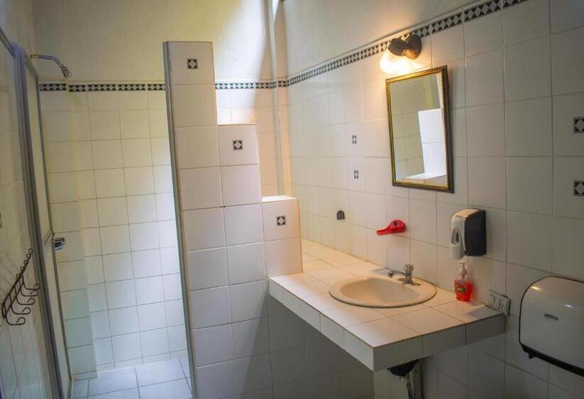 تختخواب در اتاق مشترک, Hostel Plinio