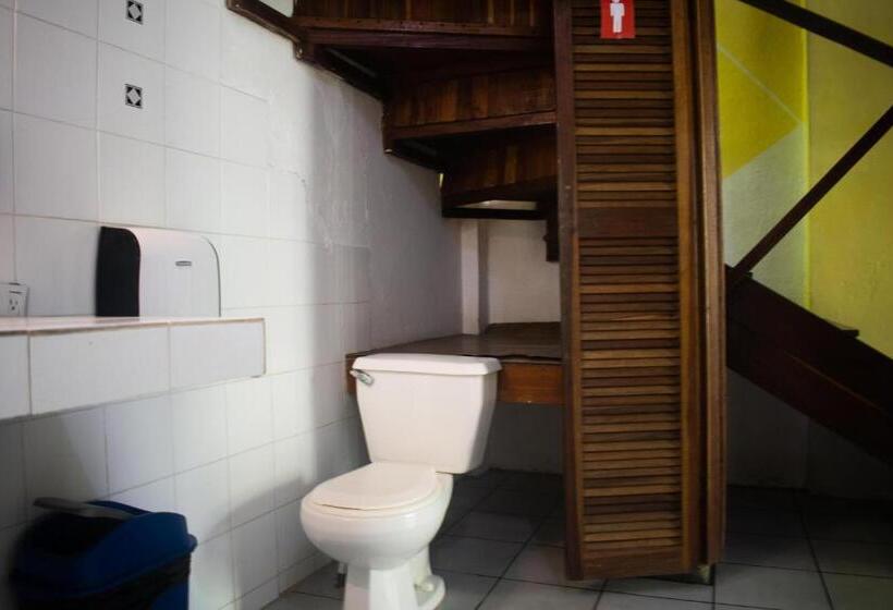 اتاق استاندارد با سرویس بهداشتی مشترک, Hostel Plinio