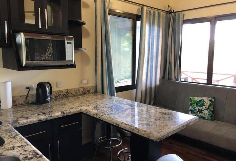 استودیوی استاندارد با چشم‌انداز دریا, Hostel Plinio