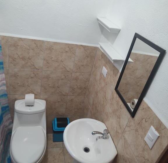 اتاق استاندارد چهار تخته, Hostel Plinio