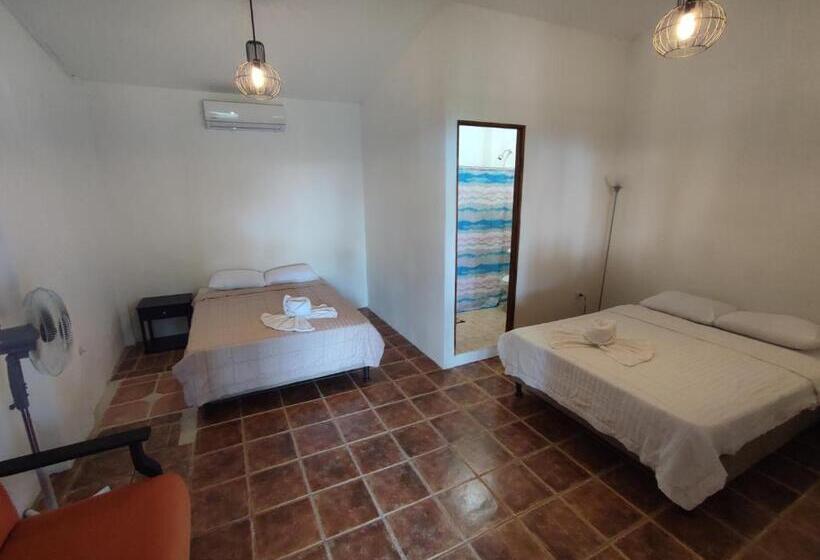 اتاق استاندارد چهار تخته, Hostel Plinio