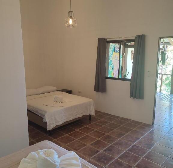 اتاق استاندارد چهار تخته, Hostel Plinio