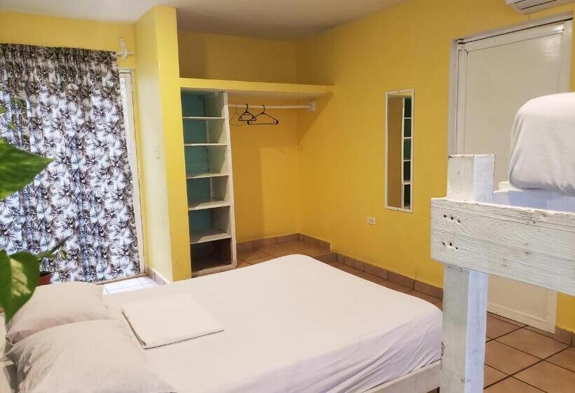 اتاق استاندارد چهارنفره با سرویس بهداشتی مشترک, Tres Mundos Hostel