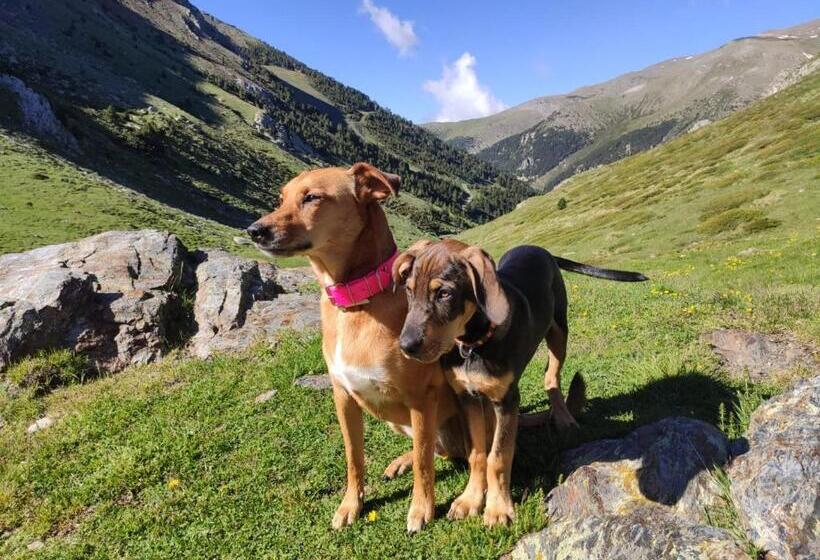 家庭间, Vall de Núria