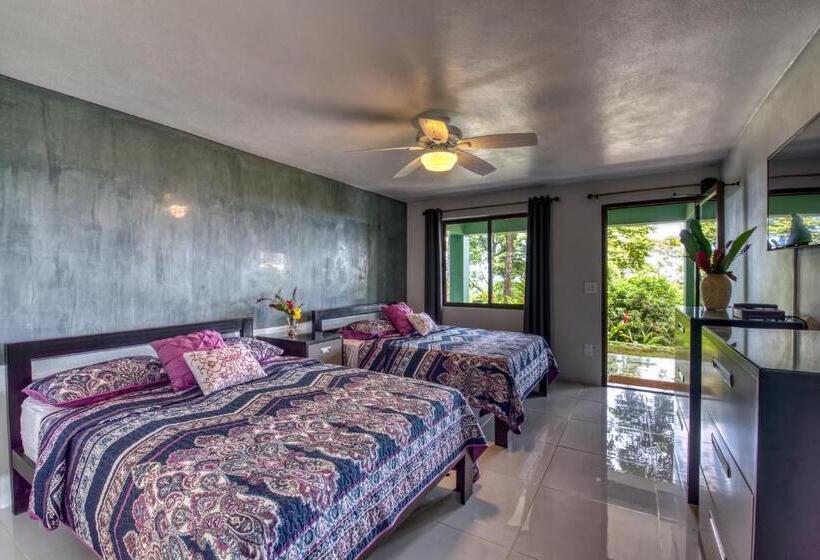 اتاق لوکس, Casa Conley Del Mar