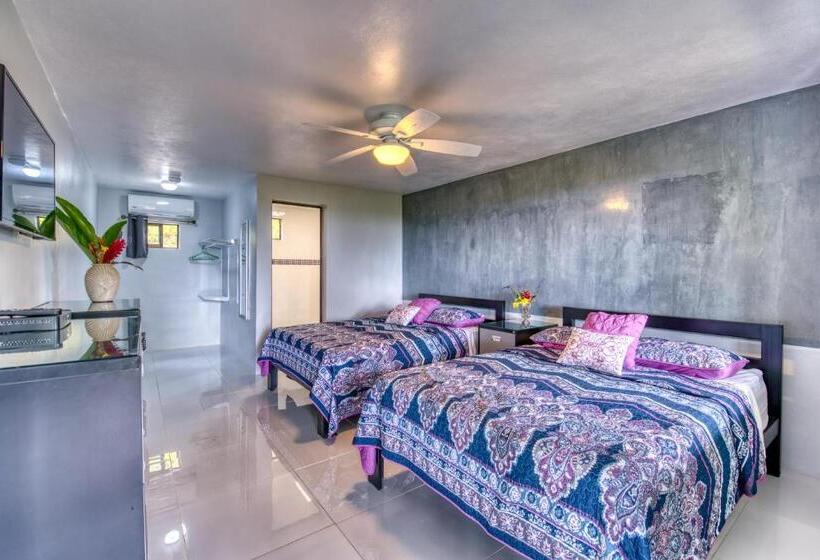 اتاق لوکس, Casa Conley Del Mar