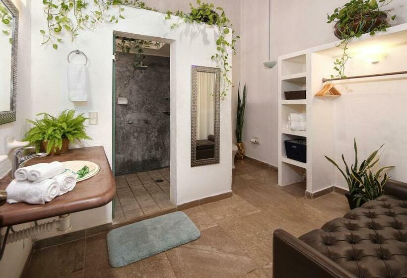 اتاق پنت هاوس, Vista Oceana Sayulita