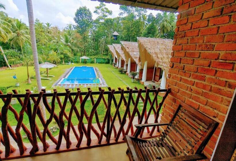 اتاق استاندارد با چشم‌انداز استخر, Airport Resort