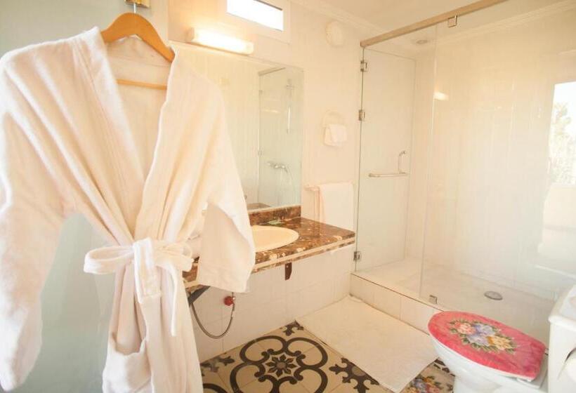 اتاق استاندارد با تراس, Villa Pomme D'or